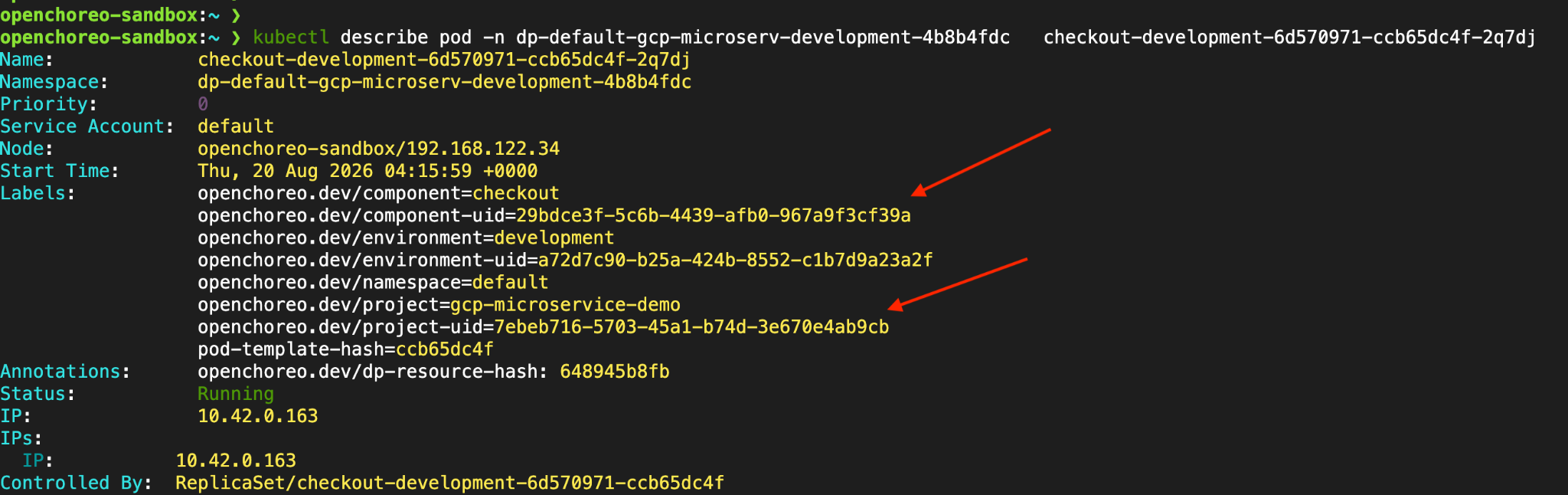 OpenChoreo labels in a Kubernetes pod